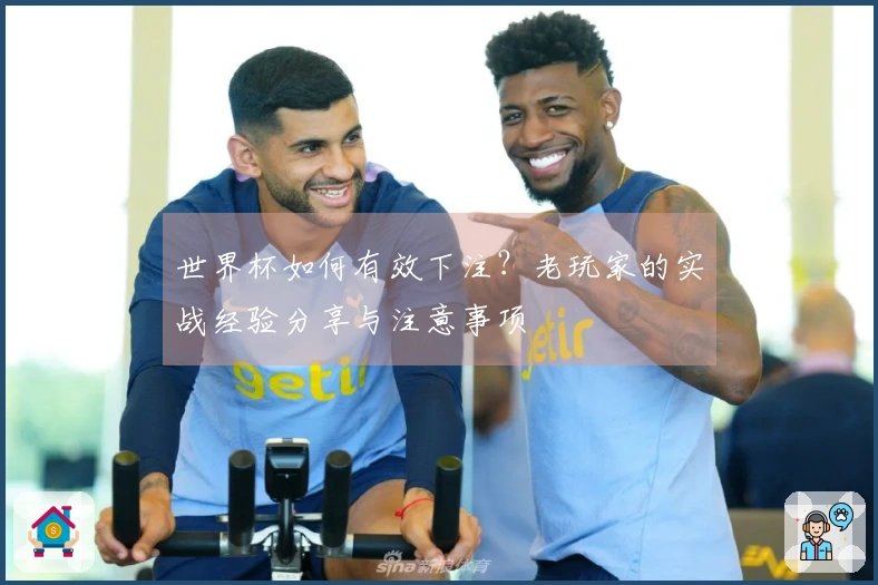 世界杯如何有效下注？老玩家的实战经验分享与注意事项
