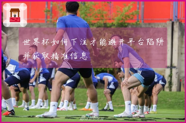 世界杯如何下注才能避开平台陷阱并获取精准信息