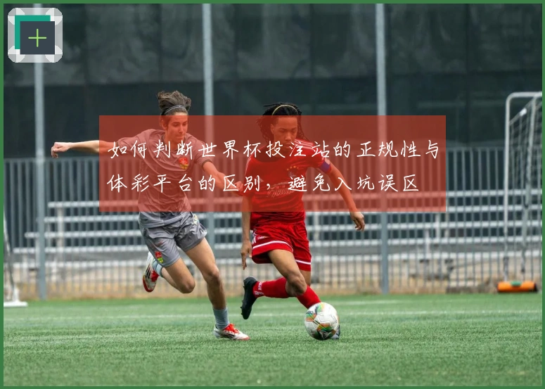 如何判断世界杯投注站的正规性与体彩平台的区别，避免入坑误区