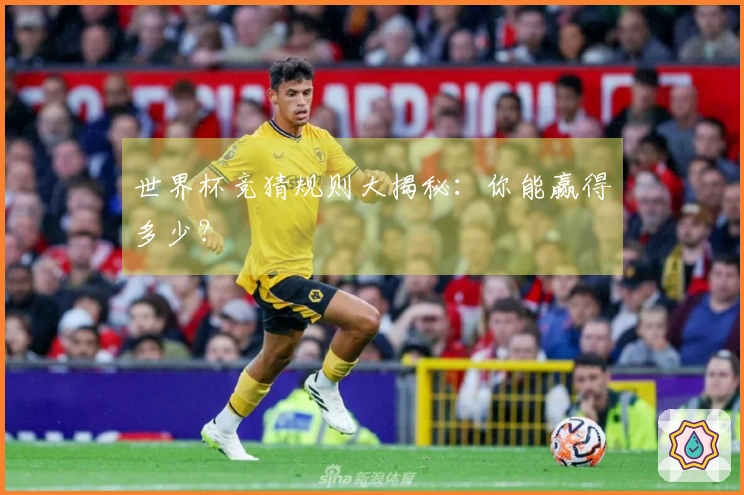 世界杯竞猜规则大揭秘：你能赢得多少？