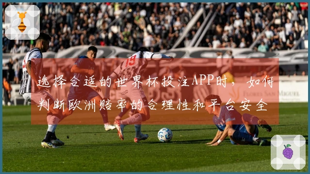 选择合适的世界杯投注APP时，如何判断欧洲赔率的合理性和平台安全性