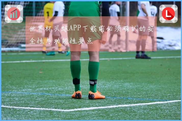 世界杯买球APP下载前必须确认的安全性与功能性要点