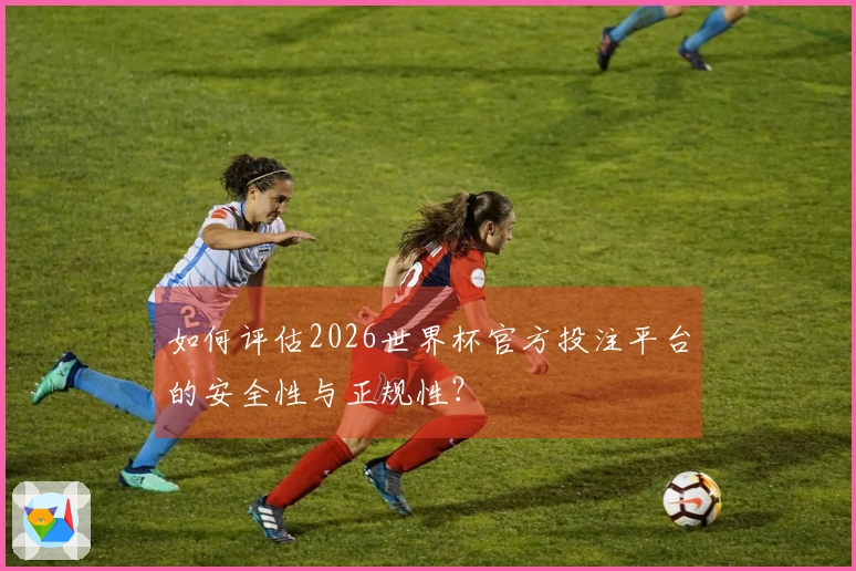 如何评估2026世界杯官方投注平台的安全性与正规性？