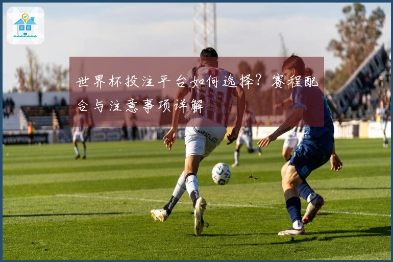 世界杯投注平台如何选择？赛程配合与注意事项详解