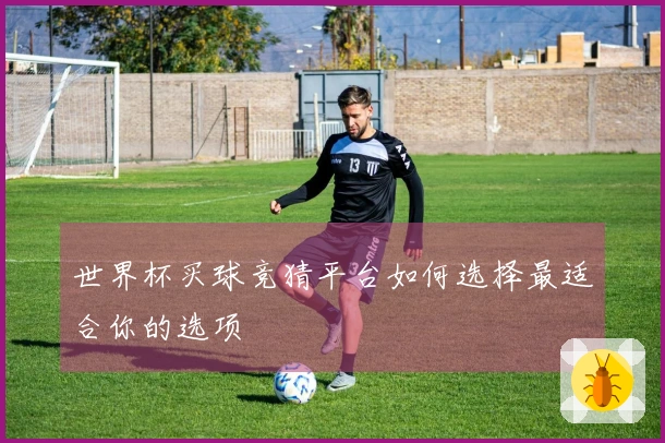 世界杯买球竞猜平台如何选择最适合你的选项