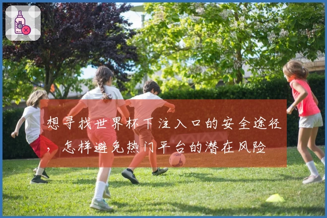 想寻找世界杯下注入口的安全途径，怎样避免热门平台的潜在风险
