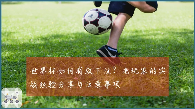 世界杯如何有效下注？老玩家的实战经验分享与注意事项