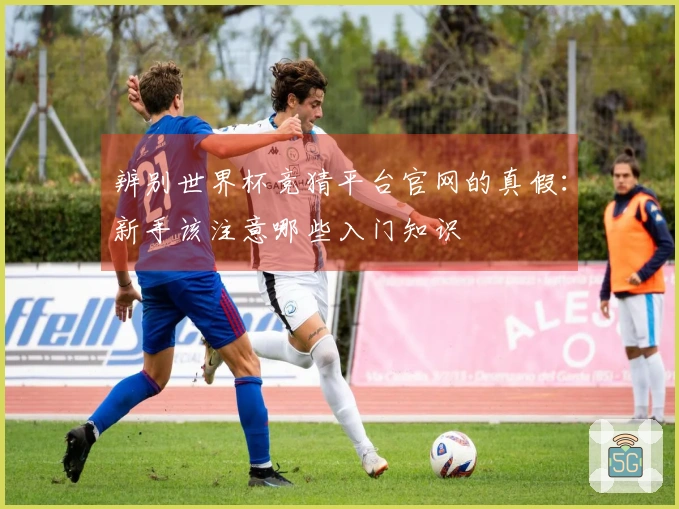 辨别世界杯竞猜平台官网的真假：新手该注意哪些入门知识
