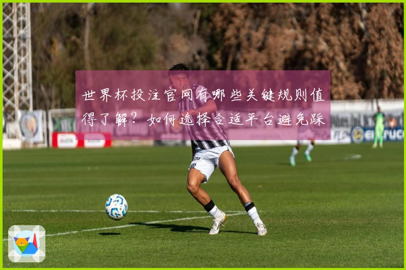 世界杯投注官网有哪些关键规则值得了解？如何选择合适平台避免踩雷？