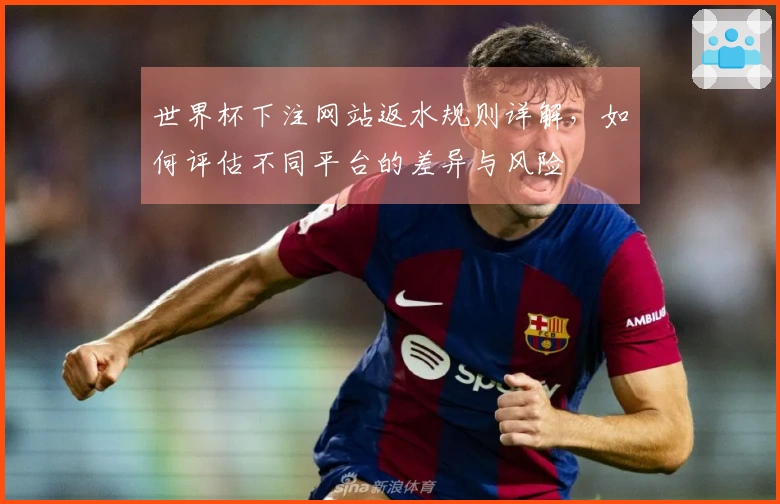 世界杯下注网站返水规则详解，如何评估不同平台的差异与风险