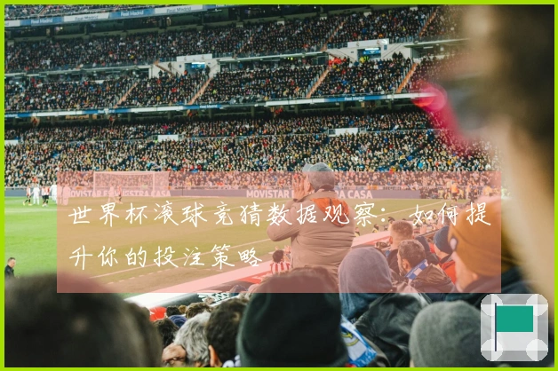 世界杯滚球竞猜数据观察：如何提升你的投注策略