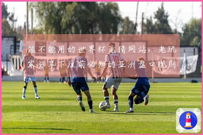 能不能用的世界杯竞猜网站，老玩家分享下注前必知的亚洲盘口规则