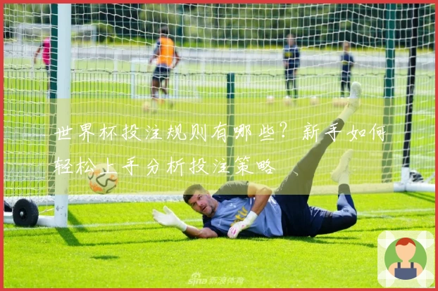 世界杯投注规则有哪些？新手如何轻松上手分析投注策略