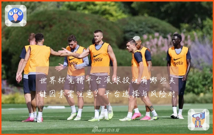 世界杯竞猜平台滚球投注有哪些关键因素需注意？平台选择与风险对比指南