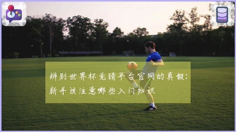 辨别世界杯竞猜平台官网的真假：新手该注意哪些入门知识