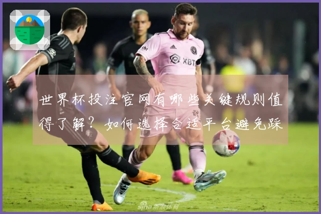 世界杯投注官网有哪些关键规则值得了解？如何选择合适平台避免踩雷？