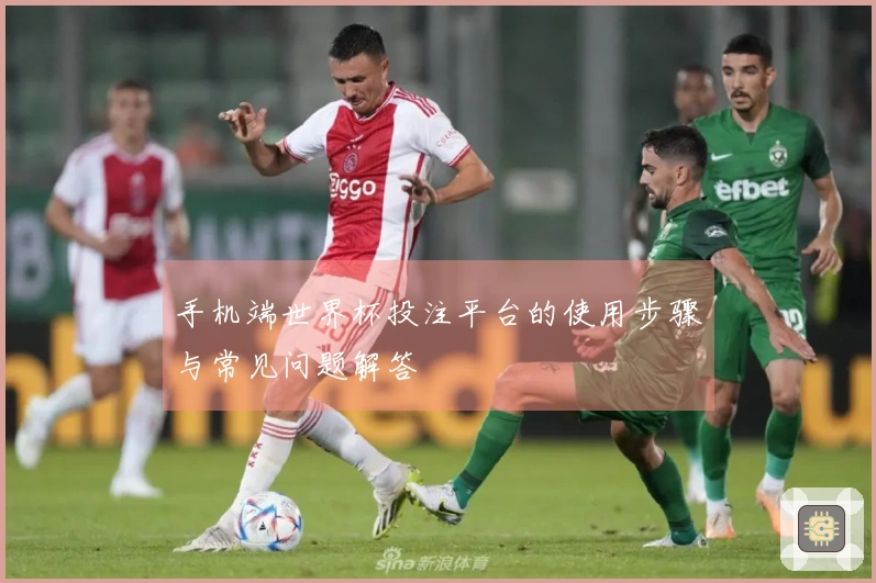 手机端世界杯投注平台的使用步骤与常见问题解答