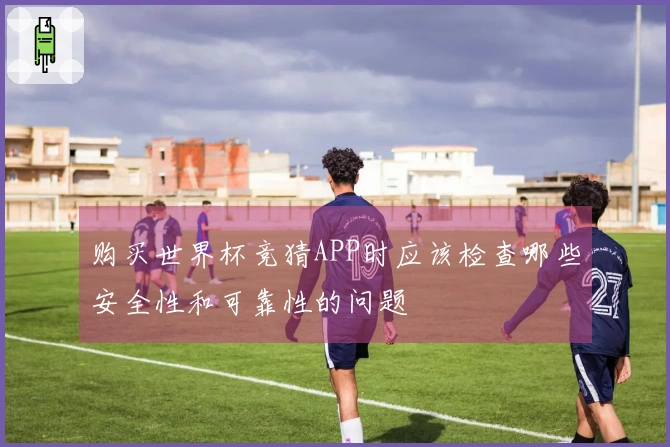 购买世界杯竞猜APP时应该检查哪些安全性和可靠性的问题