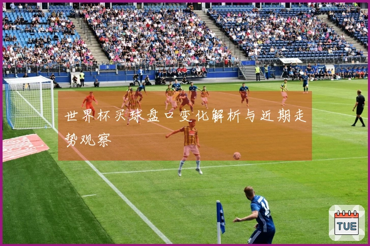 世界杯买球盘口变化解析与近期走势观察