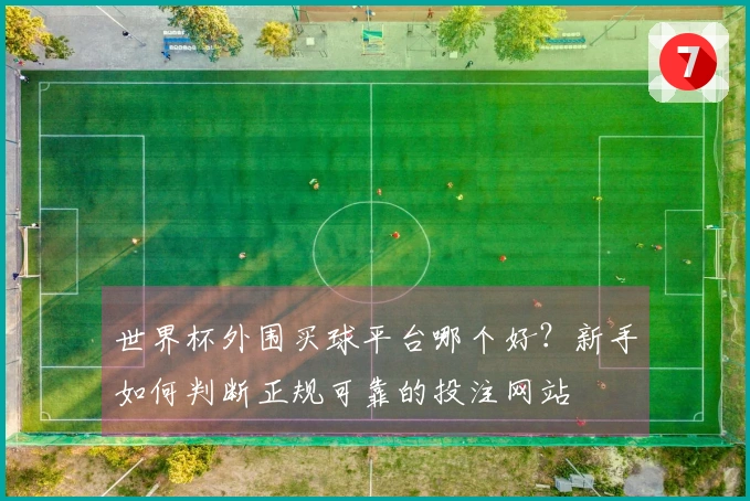 世界杯外围买球平台哪个好？新手如何判断正规可靠的投注网站