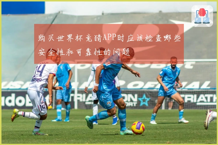 购买世界杯竞猜APP时应该检查哪些安全性和可靠性的问题