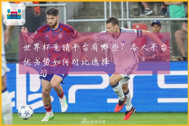 世界杯竞猜平台有哪些？各大平台优劣势如何对比选择