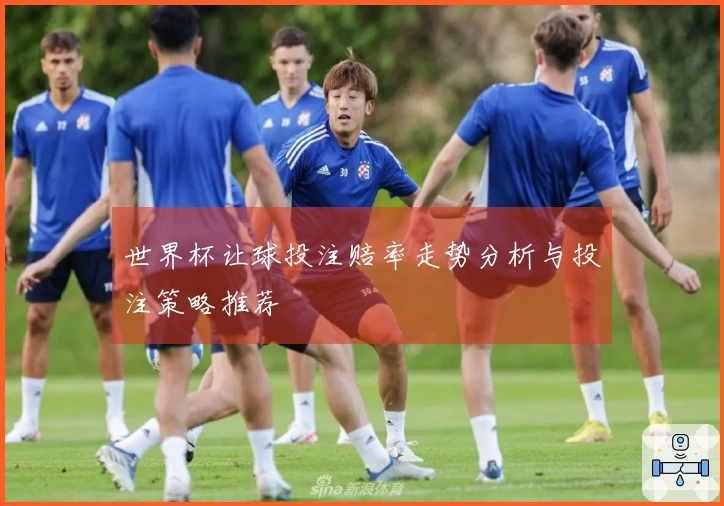 世界杯让球投注赔率走势分析与投注策略推荐