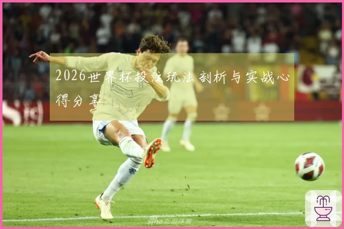 2026世界杯投注玩法剖析与实战心得分享